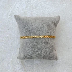 PULSEIRA CORRENTE DETALHADA